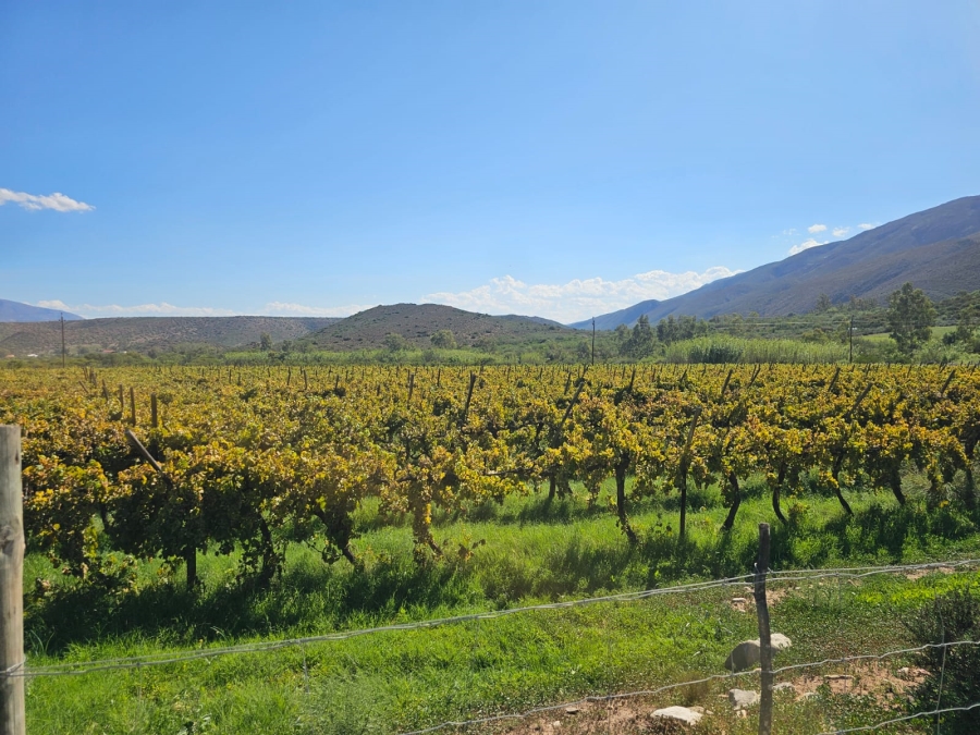 5 Bedroom Property for Sale in Ladismith Rural Western Cape